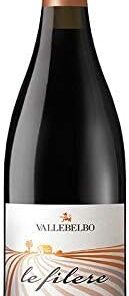 vino tinto italiano Barbera d'Alba DOC Le Filere vino rosso (1 botella 75 cl.)