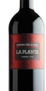 Bodegas Arzuaga Navarro - Vino Tinto La Planta De Arzuaga Magnum 1,5 Litros