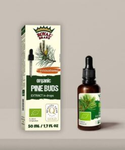 Pine Buds Orgánico/Tintura/Extracto / 50 ml / 49.4 ml