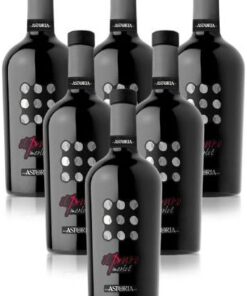 Il Puro Vino Merlot Doc Astoria vino tinto italiano (6 botellas 75 cl.)