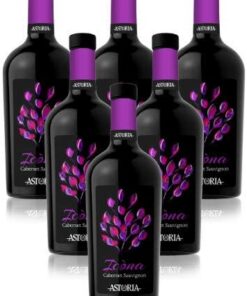 Icona Cabernet Sauvignon Doc Astoria Vino Tinto Italiano (6 botellas 75 cl.)