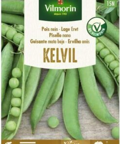 VILMORIN Semillas de Guisante Mata Baja KELVIL, 150 gr