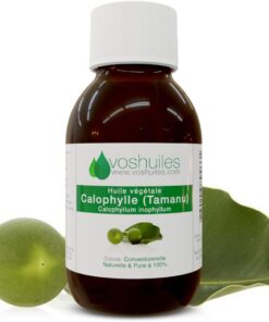 El aceite vegetal de calófilia - Tamanu - 100% puro y natural - tiene muchas propiedades en la aromaterapia - Uso de la piel - Presión en frío - 100 ml - Vunthuiles