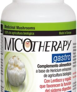 MICOTHERAPY Gastro Melena de León 90 Cápsulas de 595mg para la Salud Gastrointestinal sin Glúten. Extracto de Lions Mane (Hericium Erinaceus) para la Acidez, Reflujo, Úlcera, Inflamación y Digestión