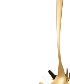 Servidor De Espaguetis Utensilio Colador De Pasta Y Fideos De Acero | Cuchara Para Fideos para Cocinar, Servir, Fideos, Pasta, Utensilios de Cocina, Acero Inoxidable, Cocinar
