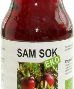 Jugo de arándano rojo grande BIO 250 ml - VIANDS