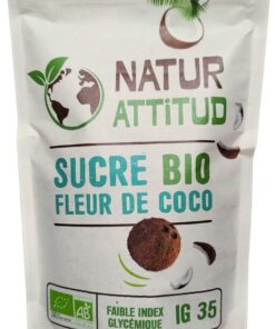 Azúcar de flor de coco orgánico 500g NaturAttitud