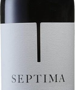 Séptima Malbec Vino Tinto, 100% Malbec - Mendoza, Argentina - 75cl (Paquete de 6)