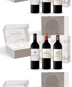 Caja de Regalo - Vino Tinto - Prix Plaisir Vino de Burdeos - Cru la Maqueline - Château Hourtou - Château Malbec - 3 x 75 cl (Paquete de 3)