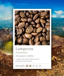 Fuji - Guatemala Lampocoy - Frijol Entero - 250g (15 tazas)