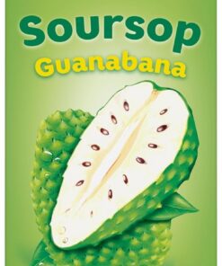 Maaza Soursop Guanabana Fruit Drink - Bebida de frutas para disfrutar de 12 x 1 l