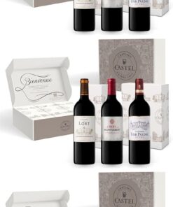 Estuche regalo - Vino tinto - Medalla de Oro de Burdeos Estuche regalo: Château du Lort, La Croix Montlabert, Châteaux Tour Prignac - 3 x 75 cl (Paquete de 3)