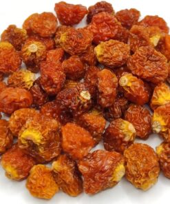 Aguaymanto Seco - Bayas del Inca 40g - 1,95kg Physalis Peruviana (220 gramos)