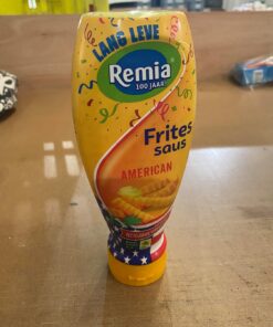 Remia estadounidense Frite salsa holandesa Topdown frasco Snack salsa 500G