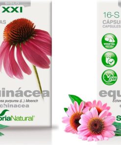 Soria Natural Equinácea en cápsulas - Refuerza tus defensas de forma natural - Ayuda al sistema inmunológico - Extracto de Planta 100% Natural Alta Absorción - 30 cápsulas (Paquete de 2)
